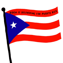 joe biden buildingbacktogether puerto rican flag protect families forward together