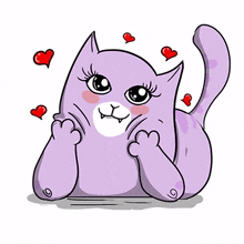 cat cute animal purple lovely