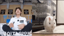 Hoon Coniglietto Sunghoon Coniglietto GIF - Hoon Coniglietto Sunghoon Coniglietto Enhypen GIFs