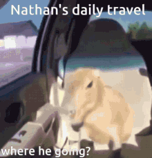 Nathan Traveling Lil_betus GIF - Nathan Traveling Lil_betus Lil_fetus GIFs