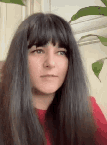 a woman with long black hair and bangs is wearing a red sweater and looking at the camera .