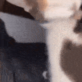 a blurred image of a person standing next to a box .
