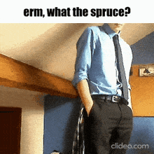 What The Spruce Fishtank GIF - What The Spruce Fishtank GIFs