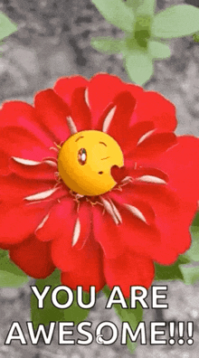 Emoji Flowers GIF - Emoji Flowers Youareawesome GIFs