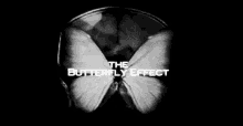 Butterfly Effect Movie GIF - Butterfly Effect Movie Brain Scan GIFs
