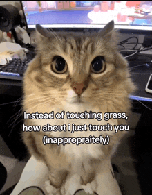a cat is sitting on someone 's lap with a caption that says instead of touching grass how about i just touch you