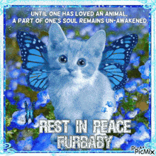 Rest In Peace Message Fur Baby Condolences GIF - Rest In Peace Message Fur Baby Condolences GIFs
