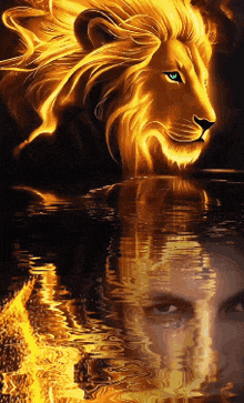 a painting of a lion with a man 's face reflection in the water