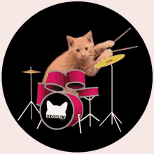 Drums Cat GIF