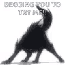 a black dog with red eyes is standing on its hind legs with the words `` begging you to try me ! ''