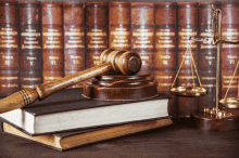 lawyer litigation