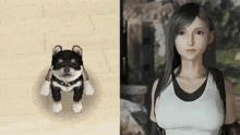 a black and white dog is standing next to a woman