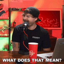 What Does That Mean The Dickeydines Show GIF - What Does That Mean The Dickeydines Show Can You Clarify That GIFs