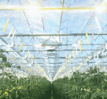 hinova ventilation jet jet fan greenhouse crop