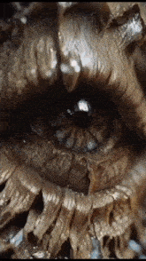 Eyes Monster GIF - Eyes Monster Mind Blowing GIFs