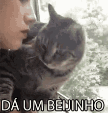 Dá Um Beijinho GIF - Cat Kiss Nope GIFs