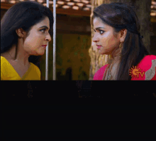 Women Saree GIF - Women Saree Nandini Tv Serial GIFs