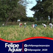 Agric Felipe Felipe Aguilar GIF - Agric Felipe Felipe Aguilar Farmer GIFs