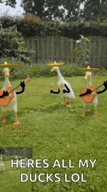 Marriachi Ducks GIF - Marriachi Ducks GIFs
