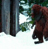 a large brown bear is standing in the snow near a tree