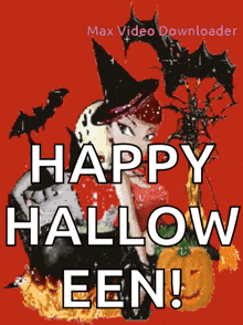Halloween Happy Haloween Eve GIF