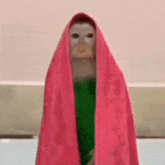 a doll is wrapped in a pink towel and a green dress .