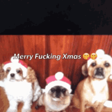 Merry Fucking Christmas Merry Fucking Xmas GIF - Merry Fucking Christmas Merry Fucking Xmas Merry Christmas GIFs