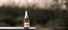 открыть бутылку шампанского выстрелом GIF - Open Champagne Shot GIFs