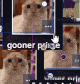 Gooner Prime GIF - Gooner Prime GIFs
