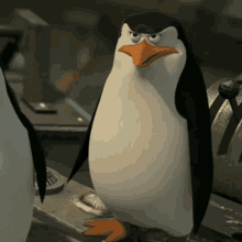 пингвин GIF - пингвин GIFs