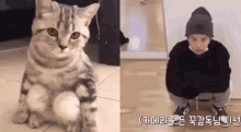 a cat is sitting next to a man wearing a hat and a mask .