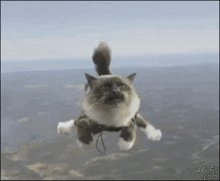 GIF