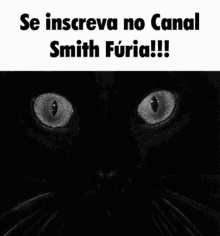 smith furia se inscrevam no canal smith furia nego bam gato smith furia