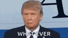 Donald Trump Whatever GIF - Donald Trump Whatever Shrugs GIFs