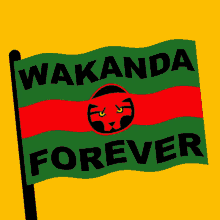 Wakanda Forever Wakanda GIF - Wakanda Forever Wakanda Chadwick Boseman GIFs