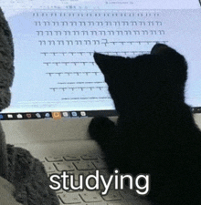 a black cat sitting in front of a laptop with the word studying written on it