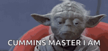 Star Wars Yoda GIF - Star Wars Yoda Interrupted GIFs