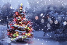 Xmas Tree Christmas Tree GIF - Xmas Tree Christmas Tree Snow Landscape GIFs