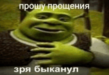 Shreksorryzryabikanyl GIF