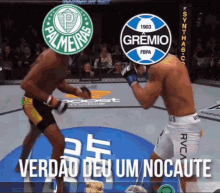 Palmeiras Campeão GIF - Palmeiras Campeão Grêmio GIFs