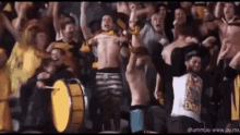 a crowd of people are cheering in a stadium with a drum in the foreground