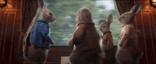 Told You Cottontail Rabbit GIF - Told You Cottontail Rabbit Peter Rabbit GIFs