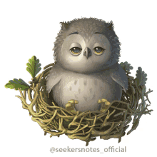 nap owl
