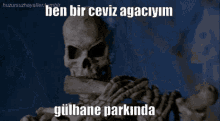Sayborg Skeleton GIF - Sayborg Skeleton Yiğithan GIFs
