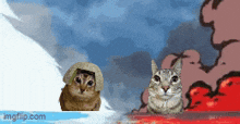 two cats are standing next to each other in front of a cloud of smoke with imgflip.com below them