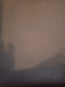 Wall Nothing GIF