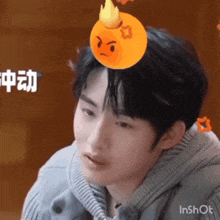 a young man wearing a sweater has a stuffed orange on his head .