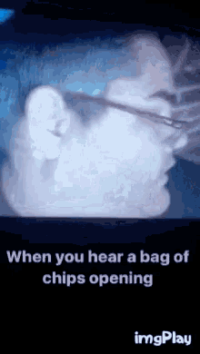 Bag Of Chips GIF - Bag Of Chips GIFs