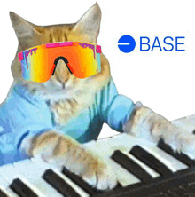 Keycat Keyboard-cat GIF
