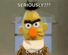 bert from sesame street is looking very angry and says `` seriously ? crazy '' .